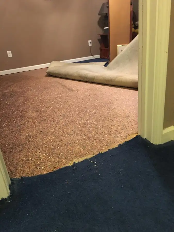 Carpet pad removal revealing water damage during Water Mitigation Services in Montclair
