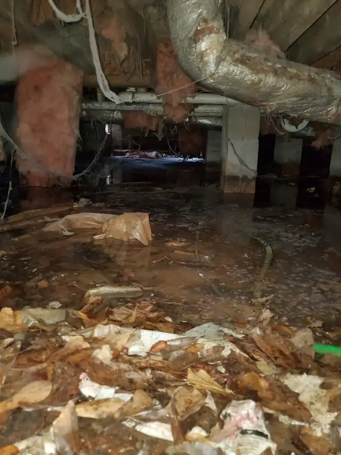 Crawl space flood assessment for Leak Detection & Repair in Montclair
